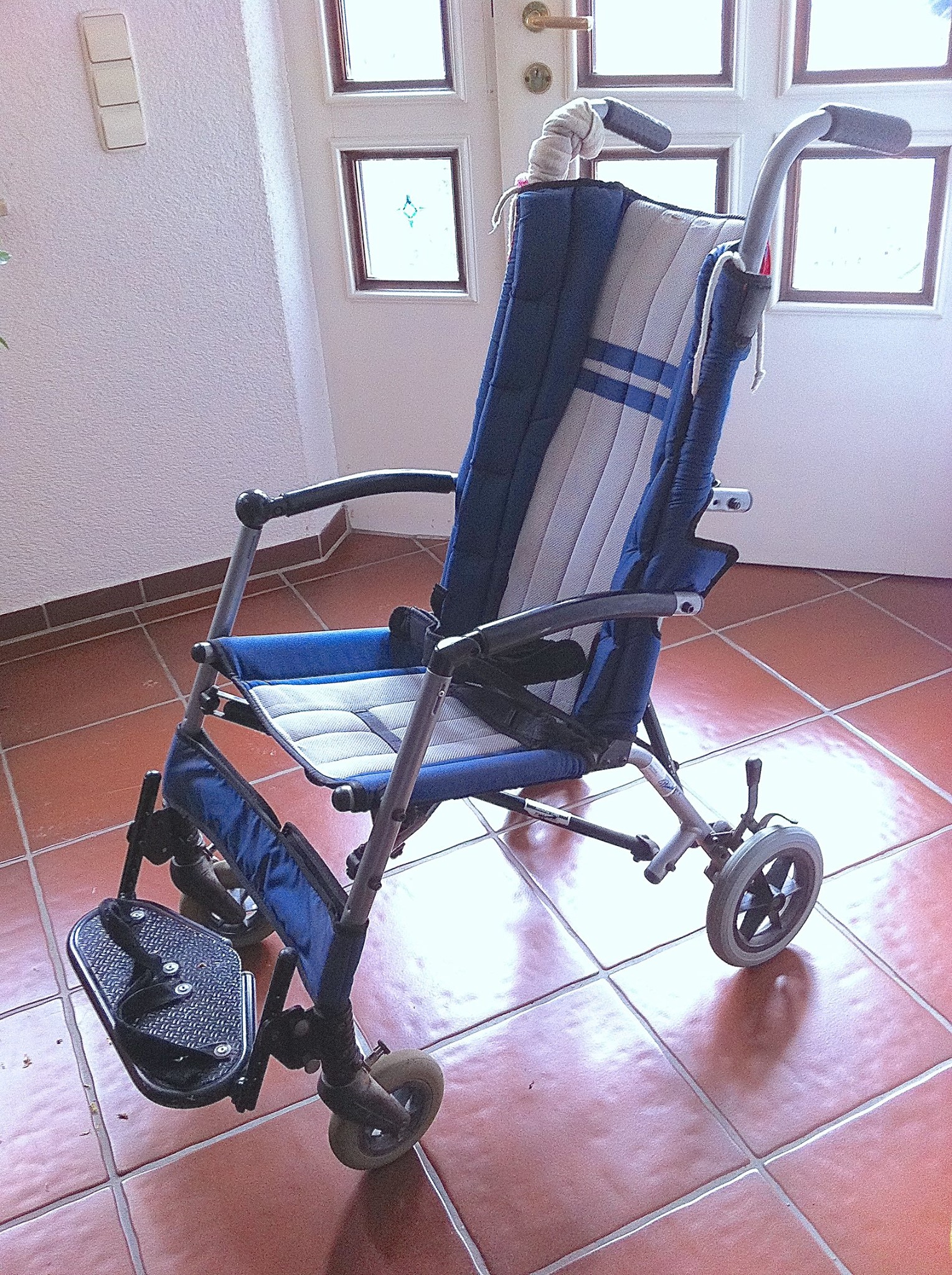 Reha Buggy - Rehab Buggy